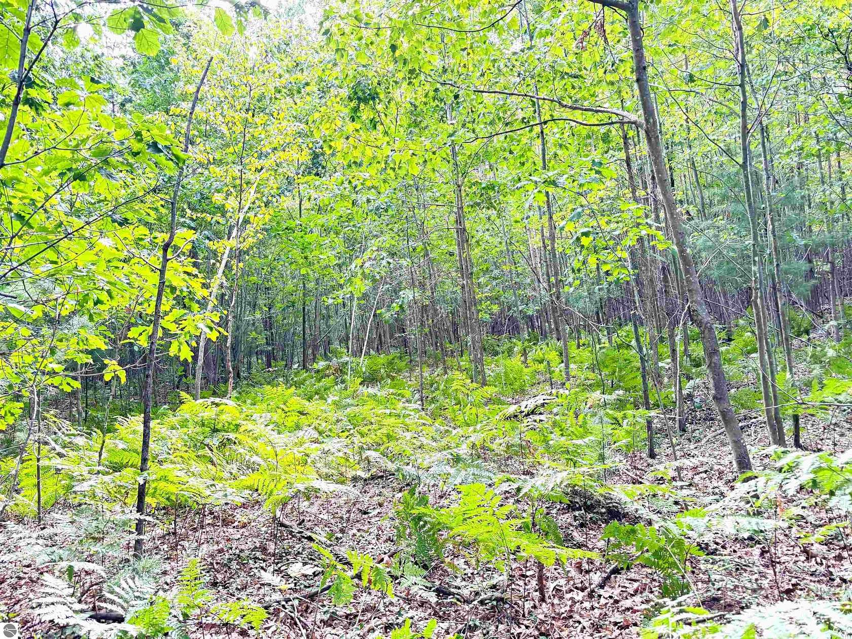 40 Acres of Recreational Land for Sale in Mount Pleasant, Michigan