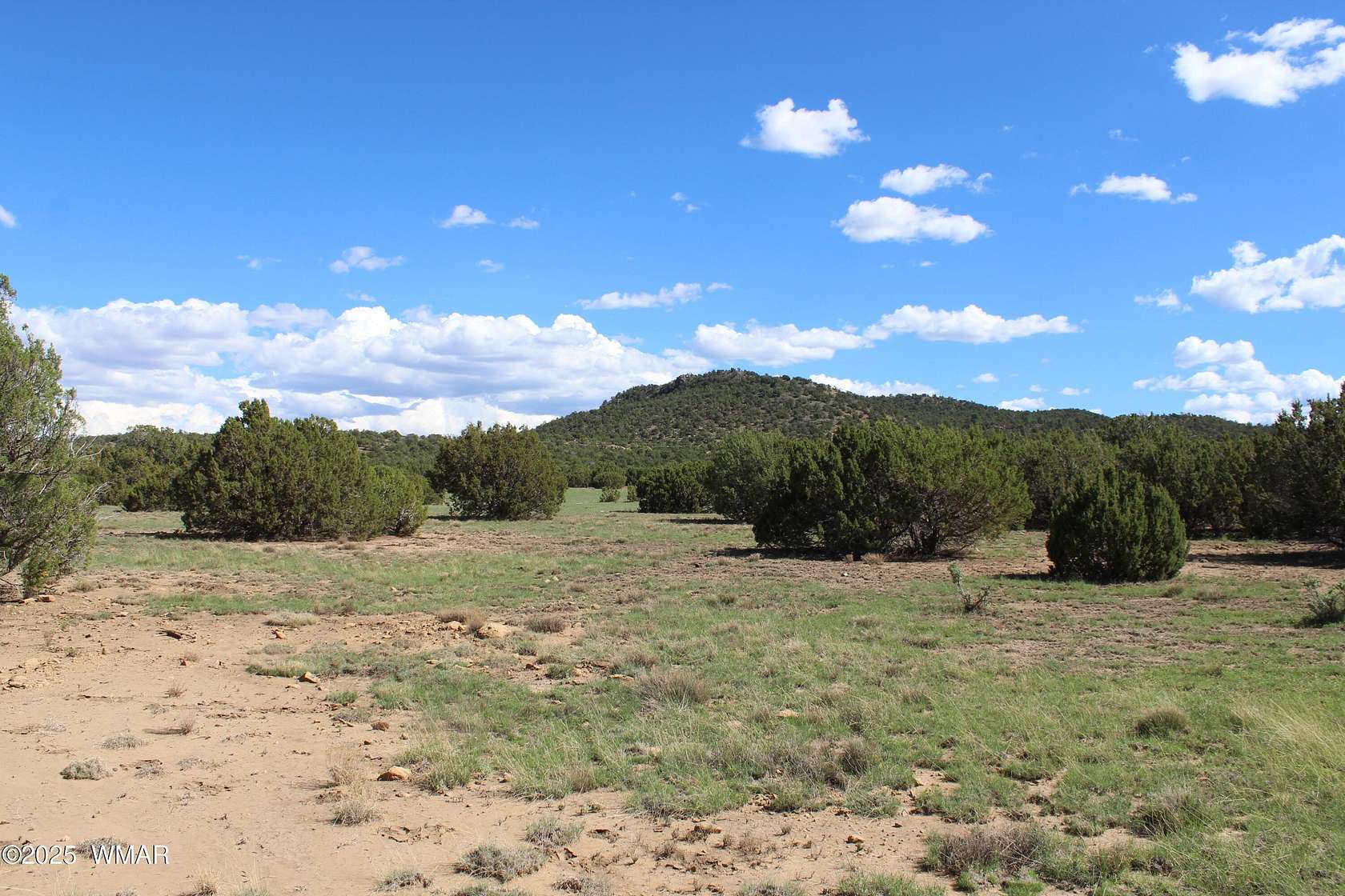 2.3 Acres of Residential Land for Sale in Concho, Arizona