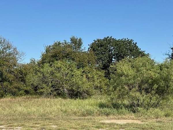0.15 Acres of Residential Land for Sale in Whitney, Texas