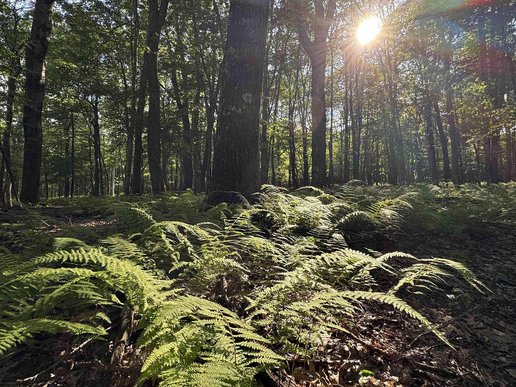 0.71 Acres of Residential Land for Sale in Terra Alta, West Virginia