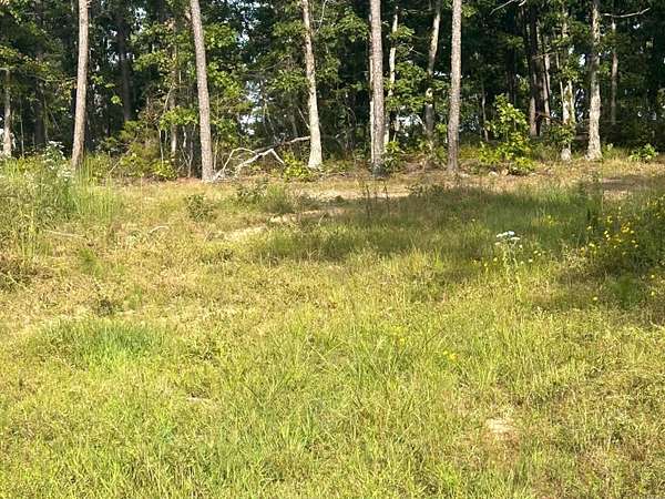 14.8 Acres of Land for Sale in Dennard, Arkansas