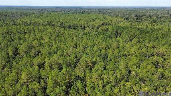 62.3 Acres of Recreational Land for Sale in Killian, Louisiana