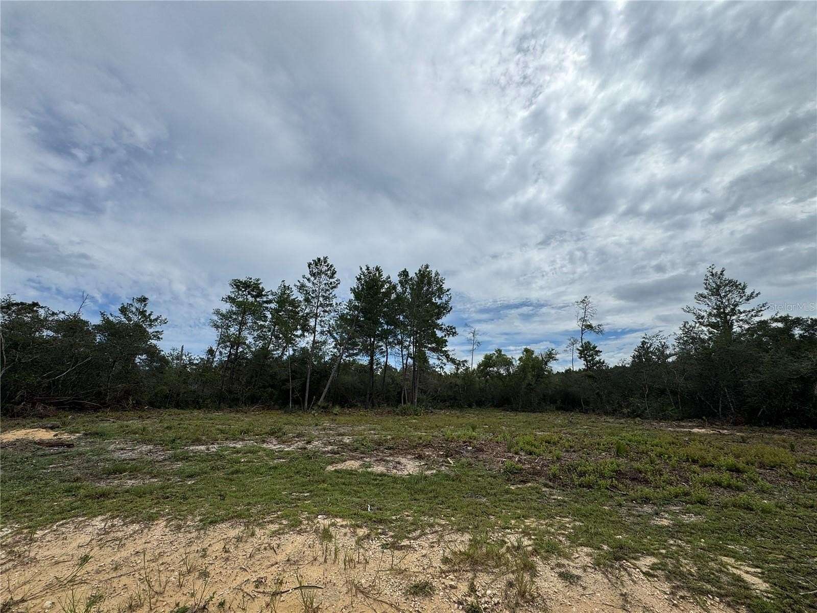 0.42 Acres of Residential Land for Sale in Salt Springs, Florida