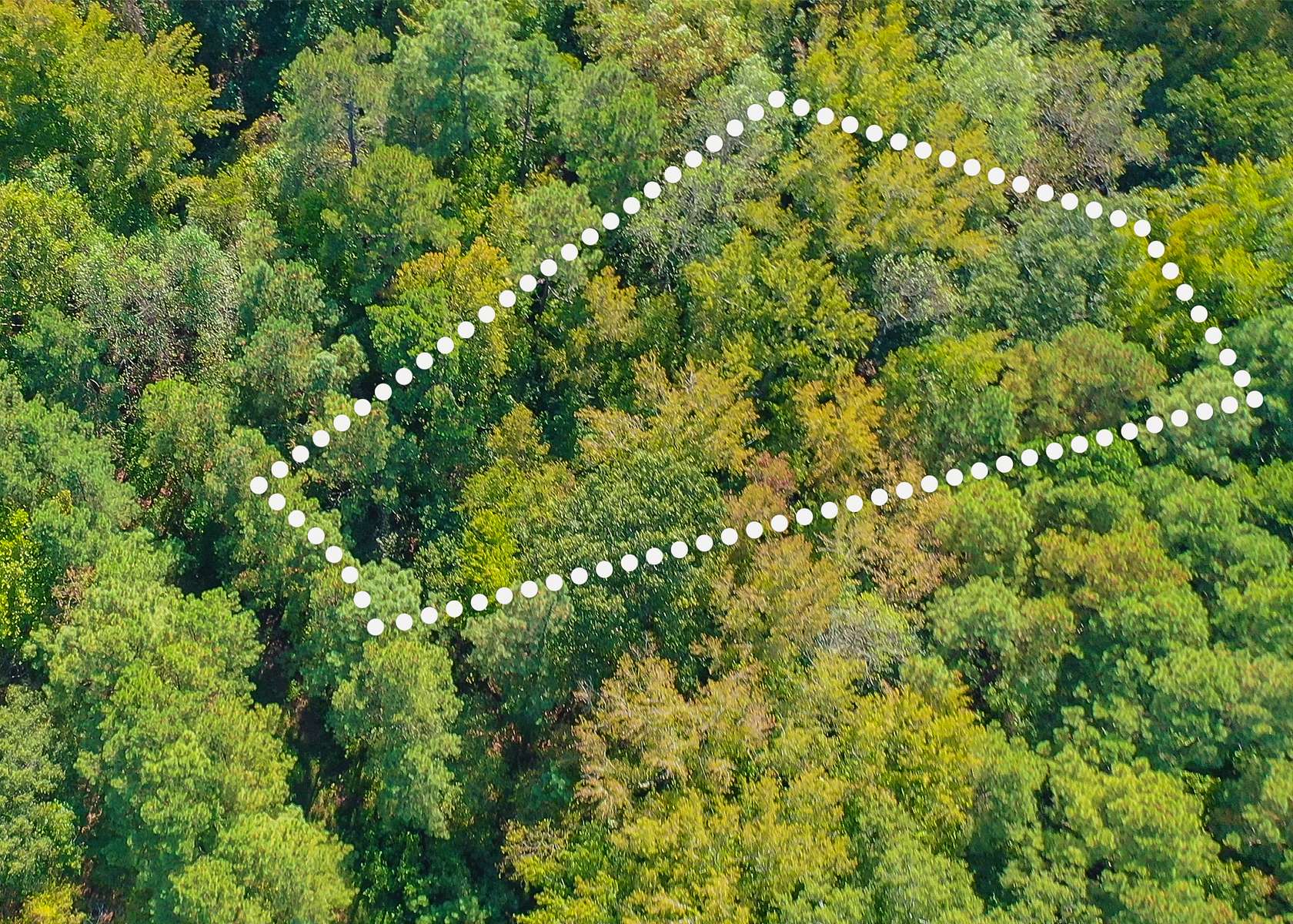 0.7 Acres of Residential Land for Sale in Henderson, North Carolina