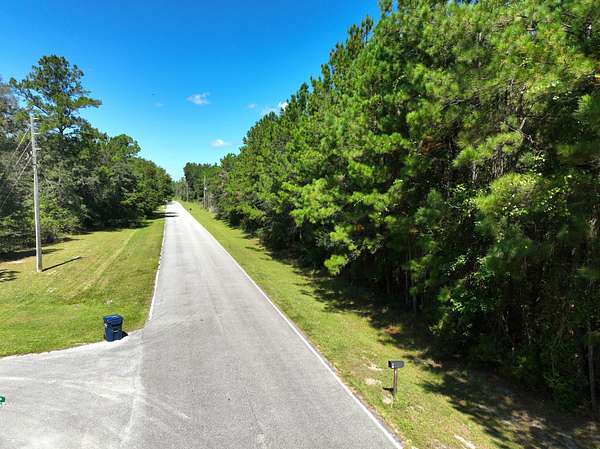 3.18 Acres of Recreational Land for Sale in Woodbine, Georgia