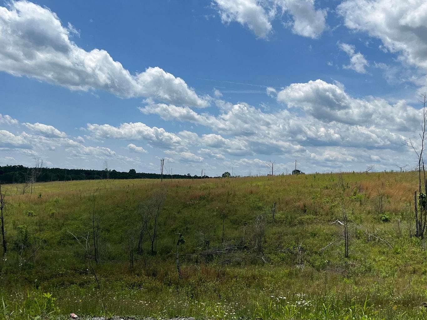 61.5 Acres of Land for Sale in Dunlap, Tennessee