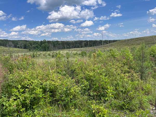 50 Acres of Land for Sale in Dunlap, Tennessee