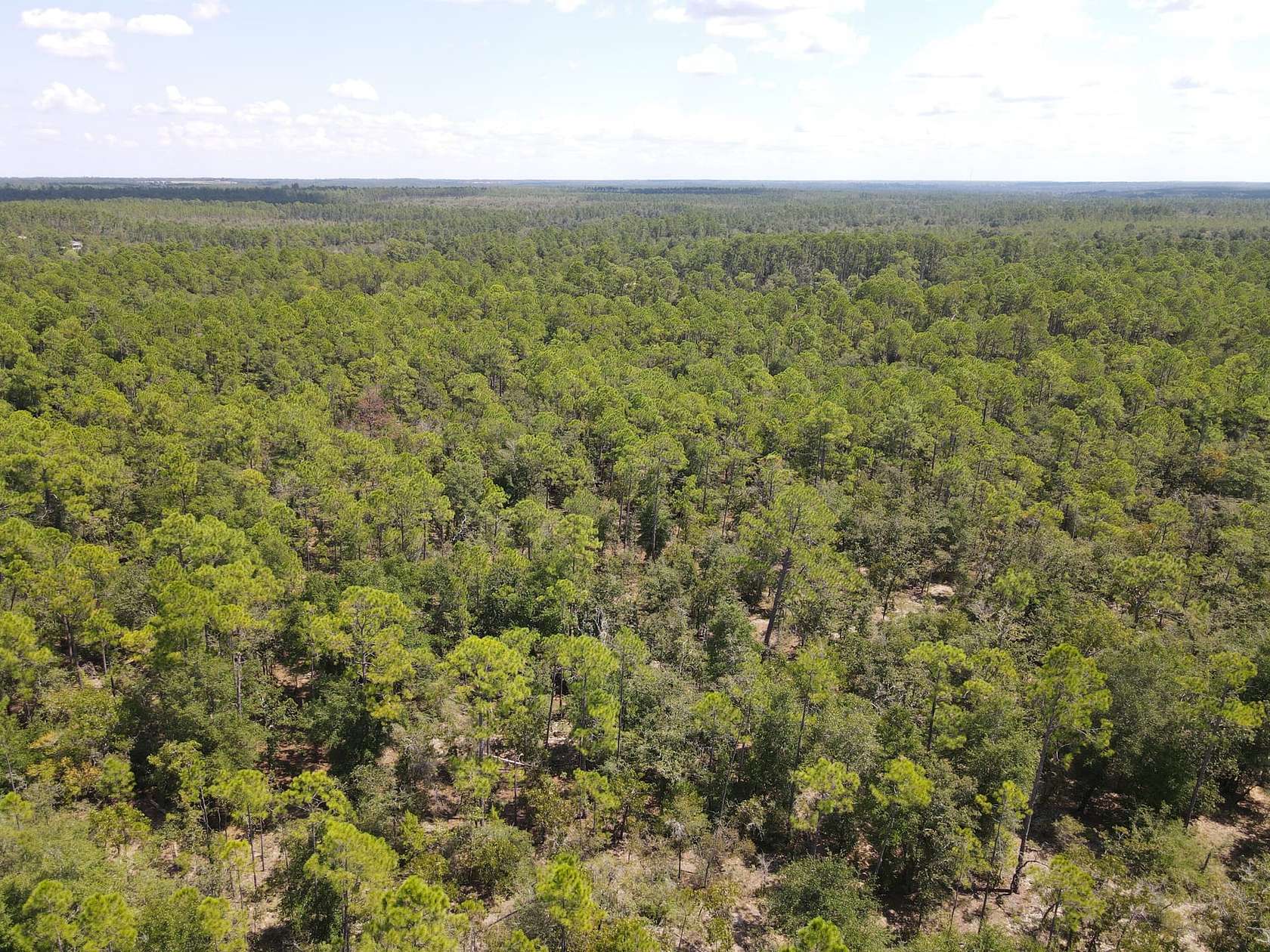 4.2 Acres of Recreational Land for Sale in Chipley, Florida