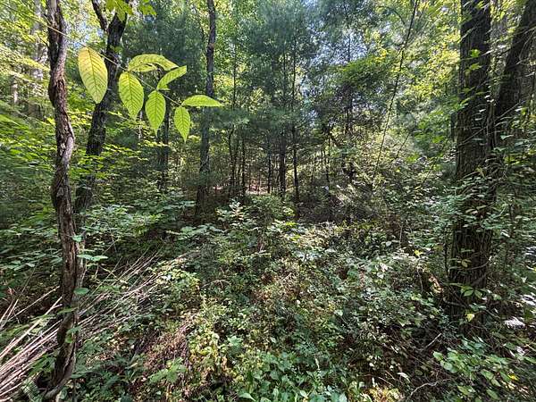 21.7 Acres of Recreational Land for Sale in Robbinsville, North Carolina