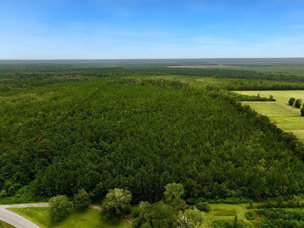 41 Acres of Recreational Land for Sale in Maysville, North Carolina