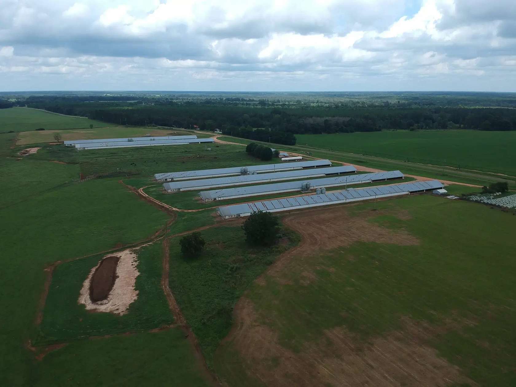 60 Acres of Agricultural Land for Sale in Edison, Georgia