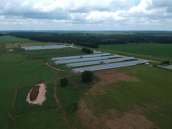 60 Acres of Agricultural Land for Sale in Edison, Georgia