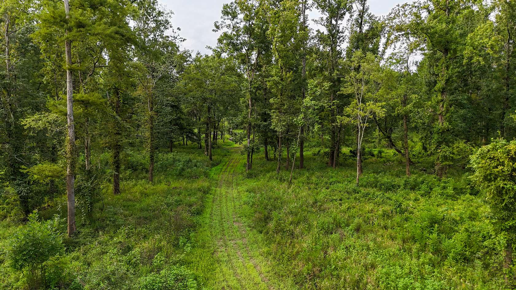 351 Acres of Recreational Land & Farm for Sale in Lorman, Mississippi