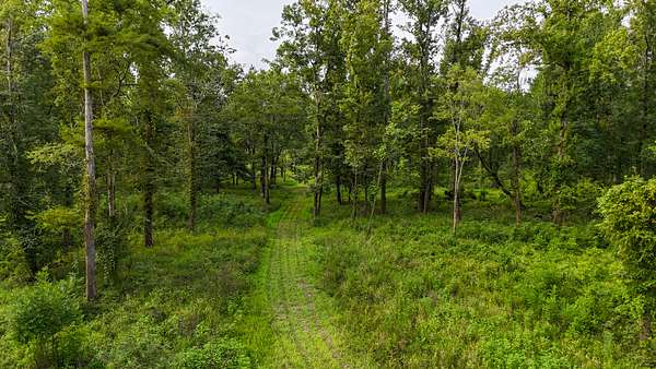 351 Acres of Recreational Land & Farm for Sale in Lorman, Mississippi