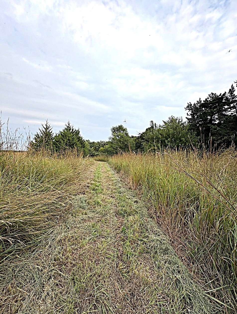 157 Acres of Recreational Land & Farm for Sale in Macksville, Kansas