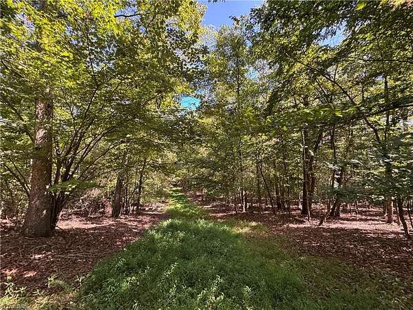 48.1 Acres of Recreational Land for Sale in Elkin, North Carolina