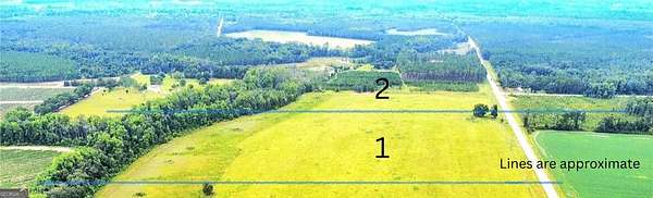 7.5 Acres of Land for Sale in Blackshear, Georgia