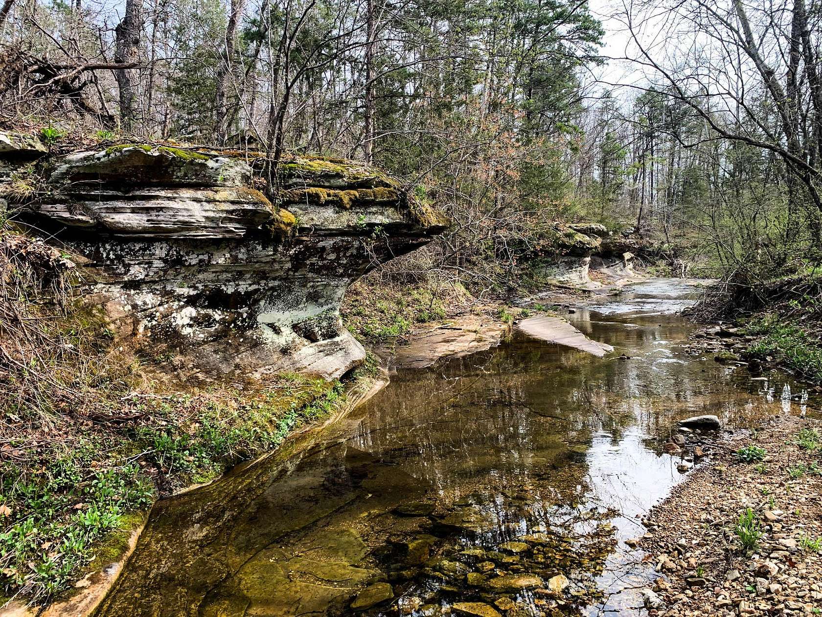 302 Acres of Land for Sale in Dora, Missouri