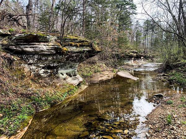 302 Acres of Land for Sale in Dora, Missouri