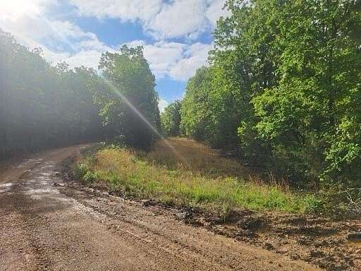 17 Acres of Land for Sale in Gainesville, Missouri