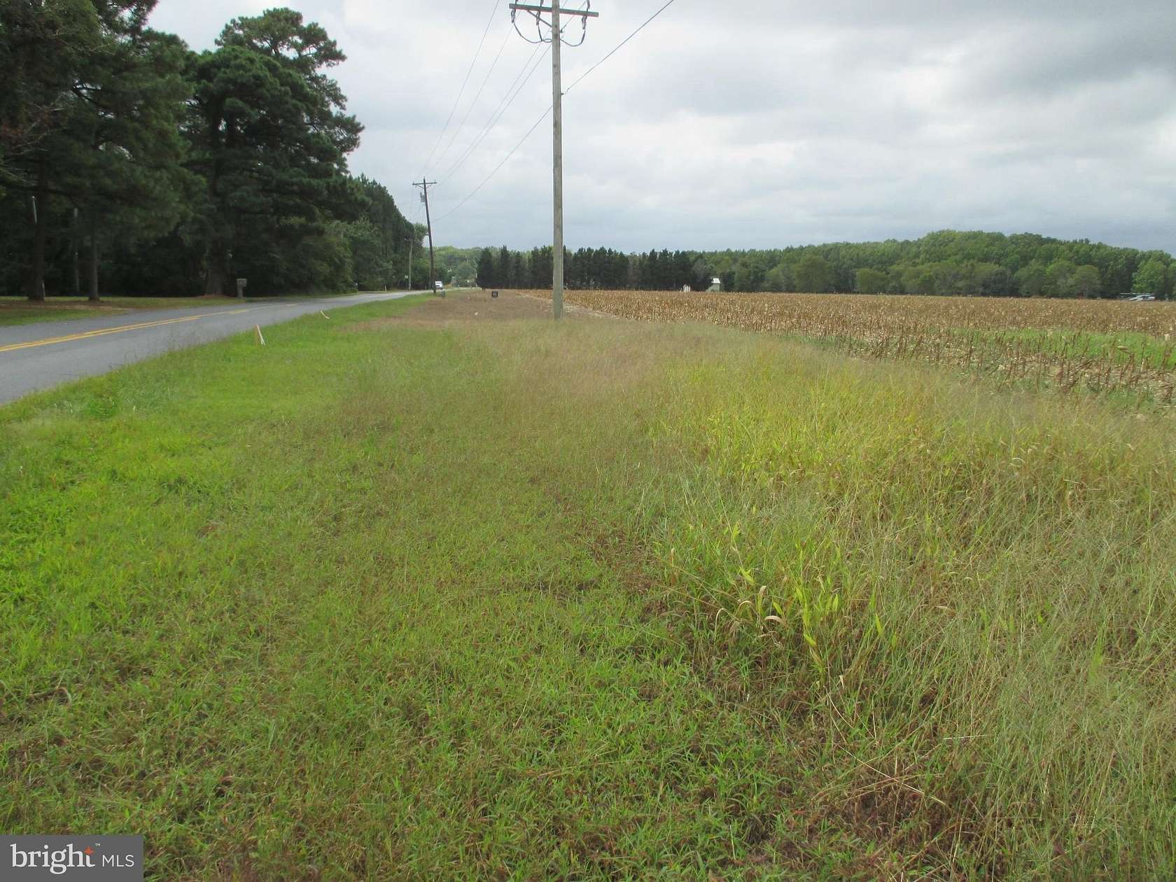 1 Acre of Residential Land for Sale in Dagsboro, Delaware