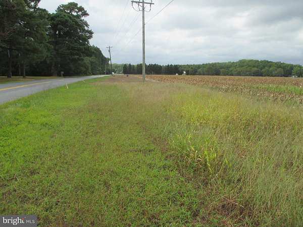 1 Acre of Residential Land for Sale in Dagsboro, Delaware