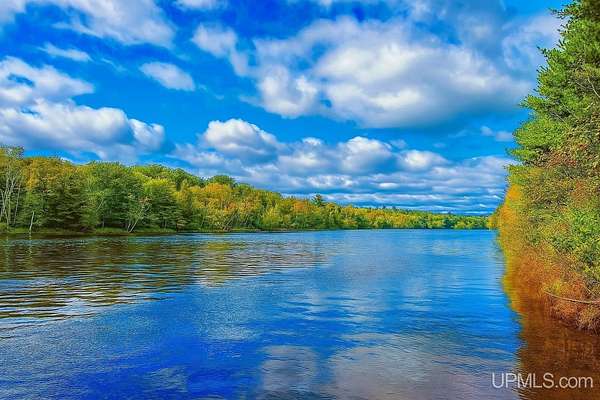 21.3 Acres of Land for Sale in Beecher Town, Wisconsin