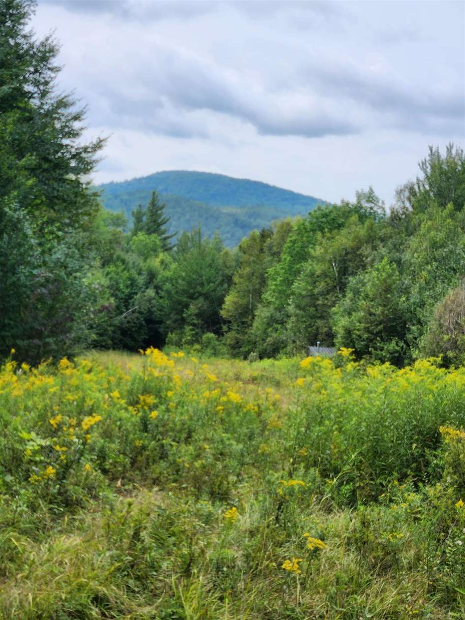 94 Acres of Recreational Land for Sale in Carroll, New Hampshire