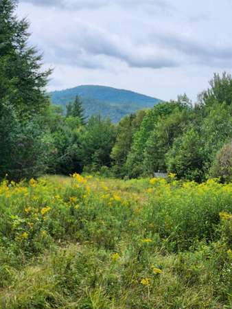 94 Acres of Recreational Land for Sale in Carroll, New Hampshire