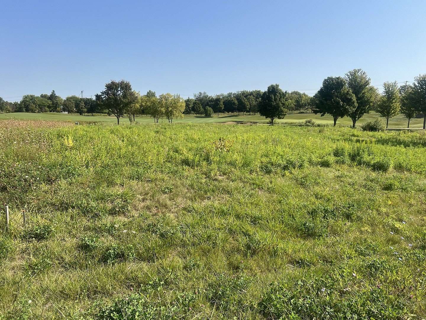 0.5 Acres of Residential Land for Sale in Marengo, Illinois