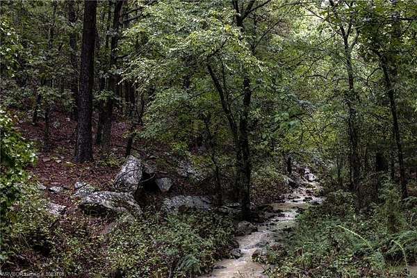 20 Acres of Recreational Land for Sale in Wister, Oklahoma