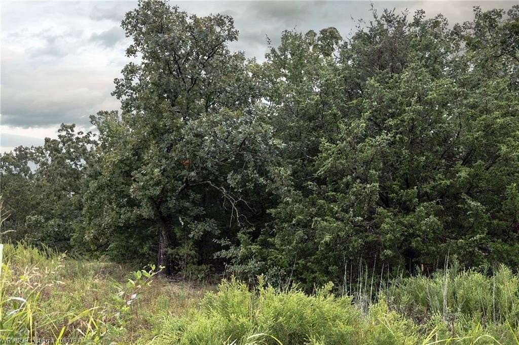 10 Acres of Recreational Land for Sale in Talihina, Oklahoma