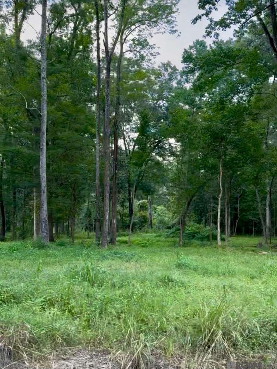 4.1 Acres of Residential Land for Sale in Slaughter, Louisiana