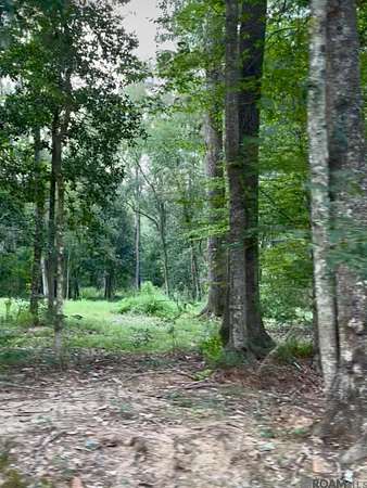 3 Acres of Residential Land for Sale in Slaughter, Louisiana