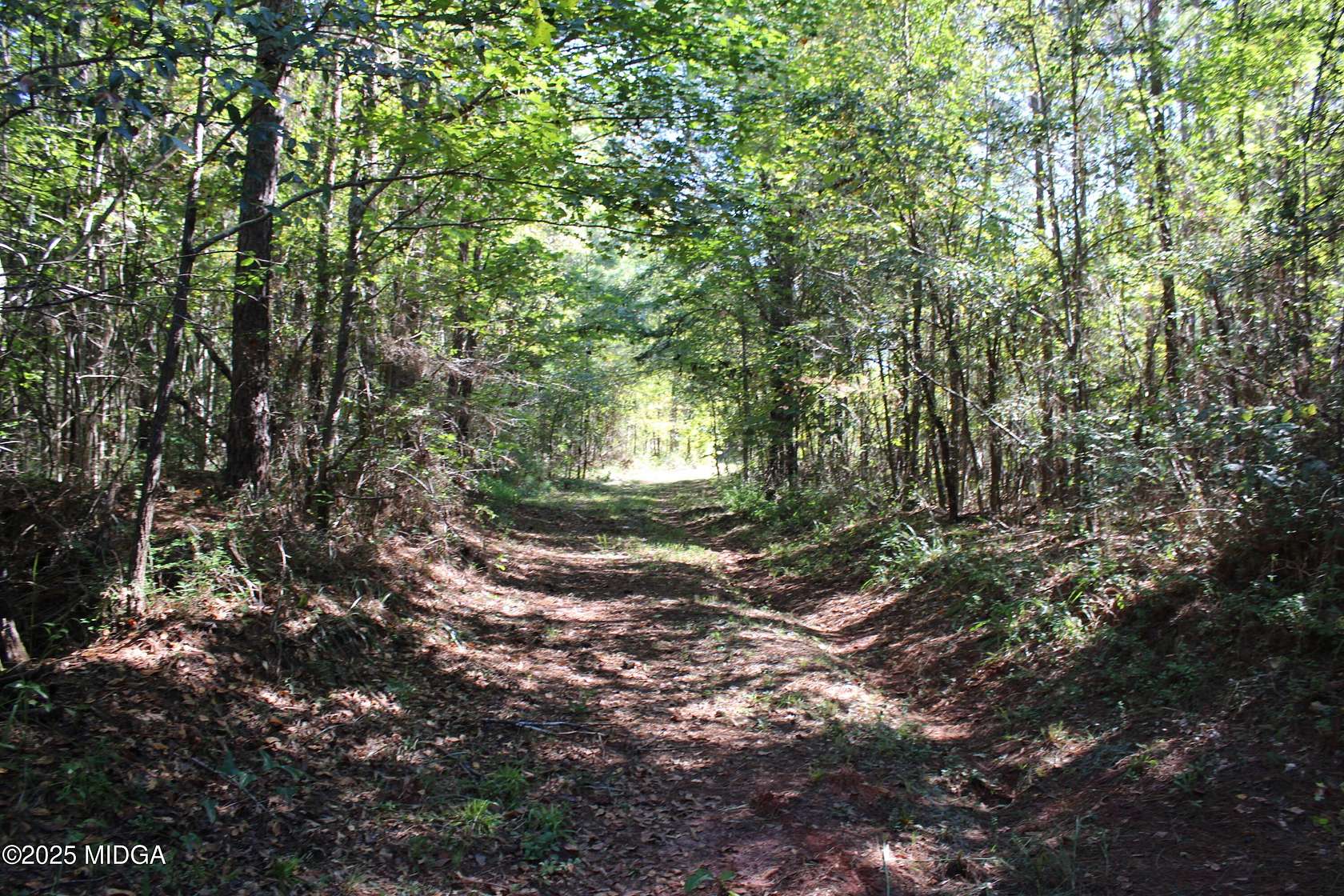 85.8 Acres of Recreational Land for Sale in Jeffersonville, Georgia