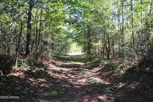 85.8 Acres of Recreational Land for Sale in Jeffersonville, Georgia
