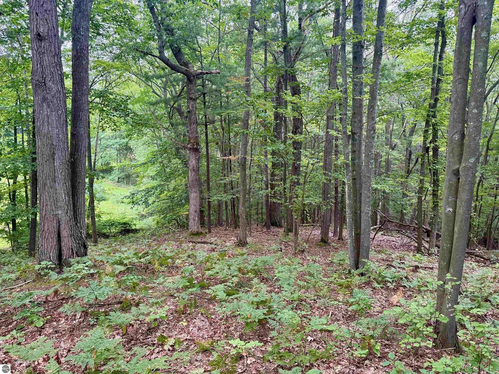 0.01 Acres of Residential Land for Sale in Glen Arbor, Michigan