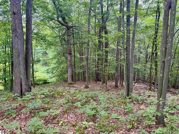 0.01 Acres of Residential Land for Sale in Glen Arbor, Michigan