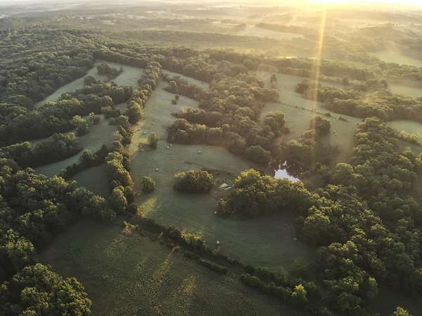 245 Acres of Land for Sale in Armstrong, Missouri