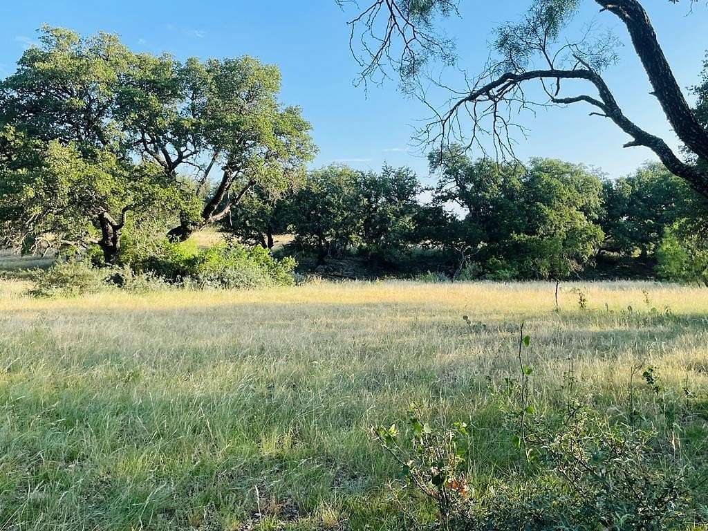 20 Acres of Agricultural Land for Sale in Hext, Texas
