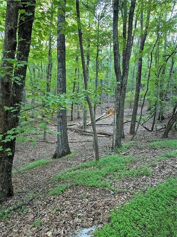 1 Acre of Residential Land for Sale in Big Canoe, Georgia