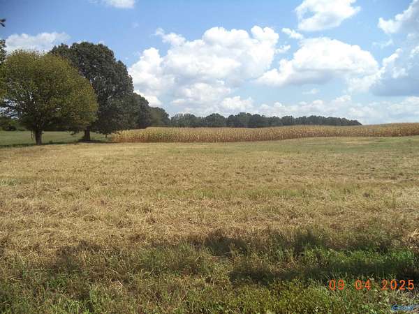 0.45 Acres of Residential Land for Sale in Hazel Green, Alabama