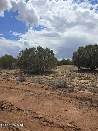 5.1 Acres of Land for Sale in Snowflake, Arizona