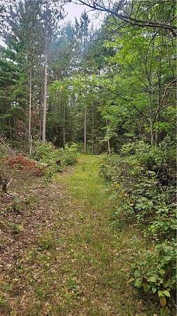 0.82 Acres of Land for Sale in Hayward, Wisconsin