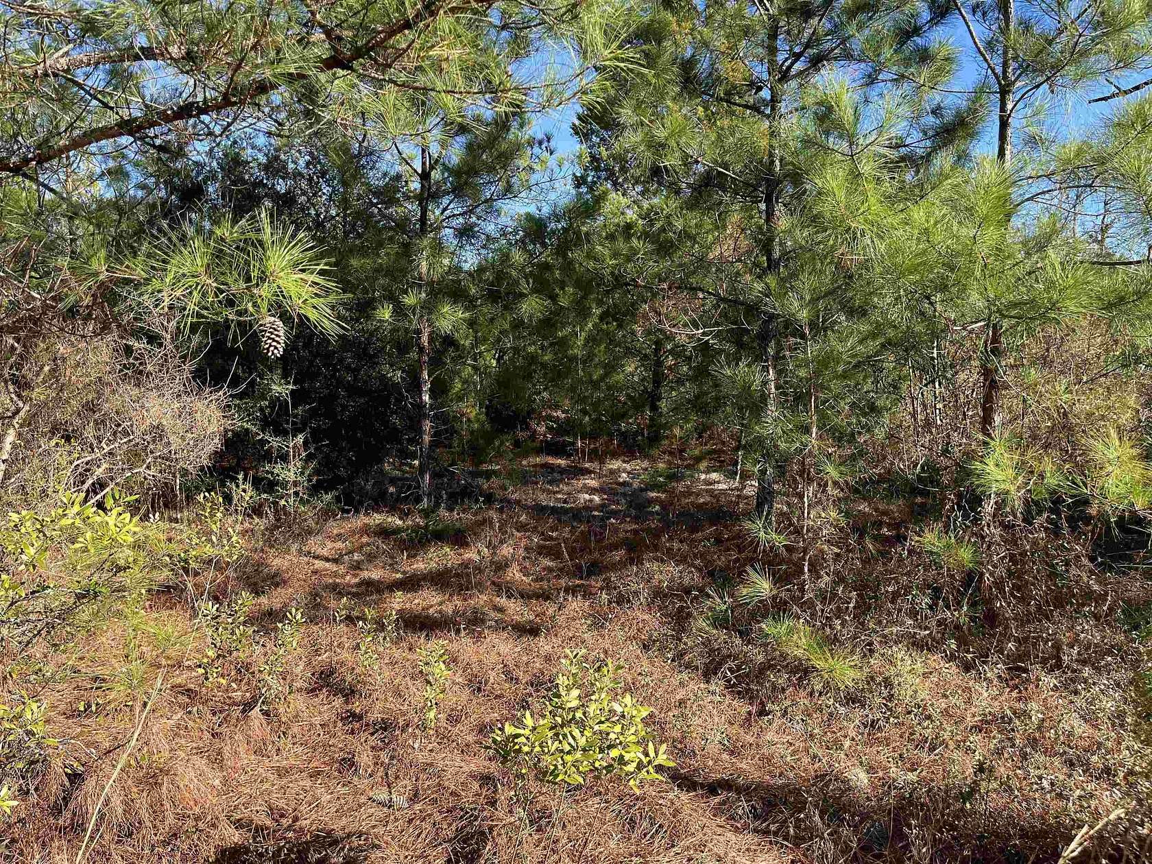 1.23 Acres of Residential Land for Sale in Marianna, Florida