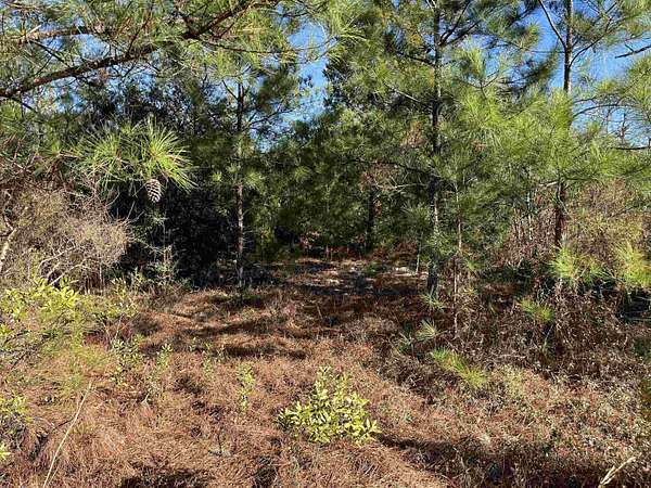 1.23 Acres of Residential Land for Sale in Marianna, Florida