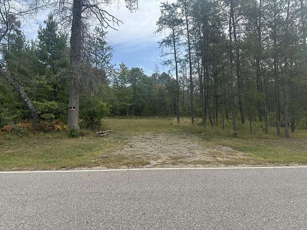 3 Acres of Residential Land for Sale in Idlewild, Michigan