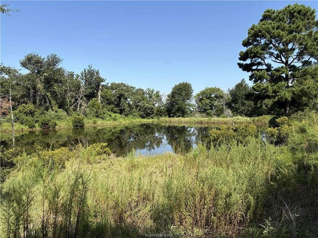 22.2 Acres of Recreational Land for Sale in Franklin, Texas