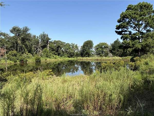 22.2 Acres of Recreational Land for Sale in Franklin, Texas