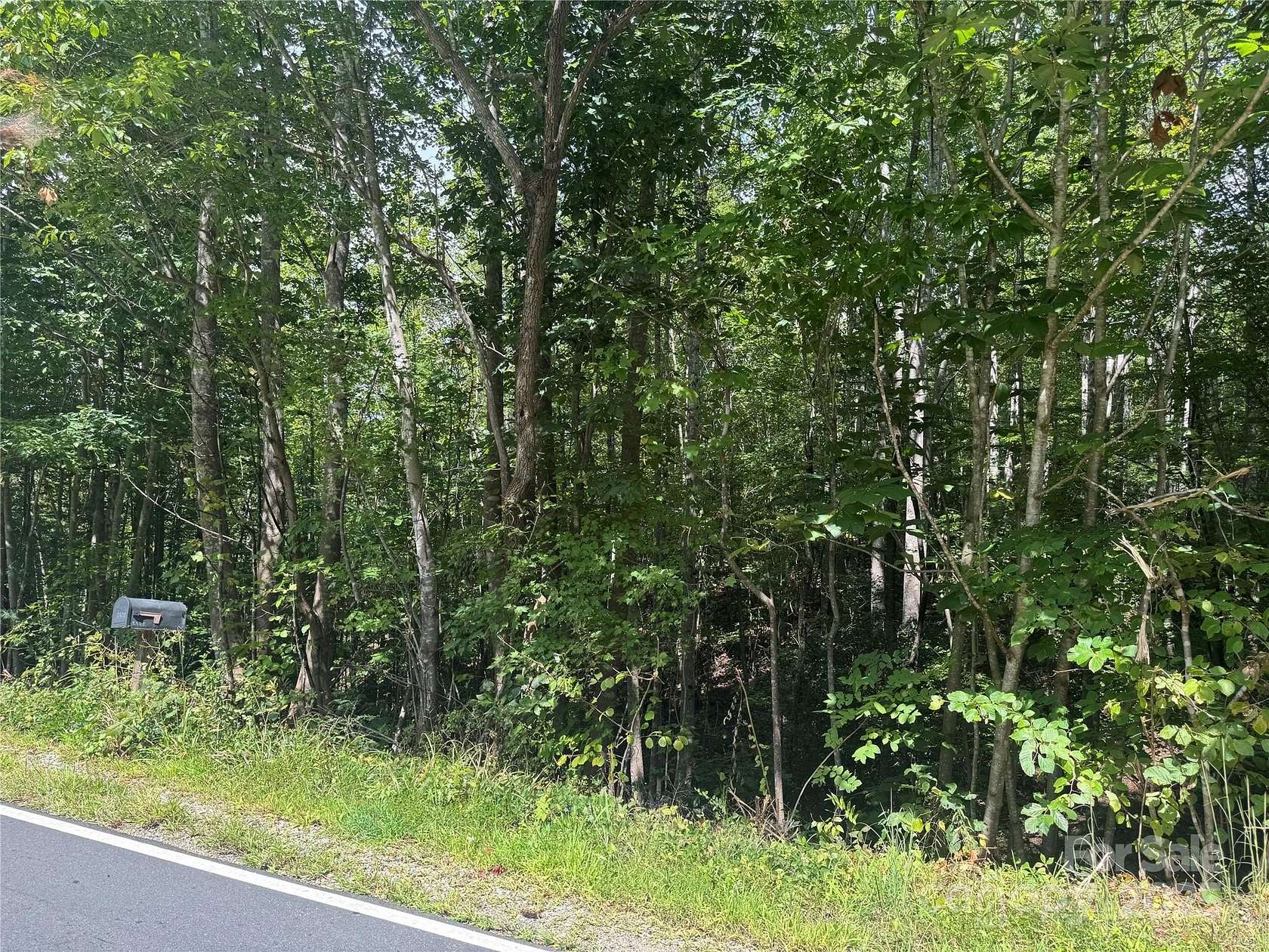 19.5 Acres of Recreational & Residential Land for Sale in Lenoir, North Carolina